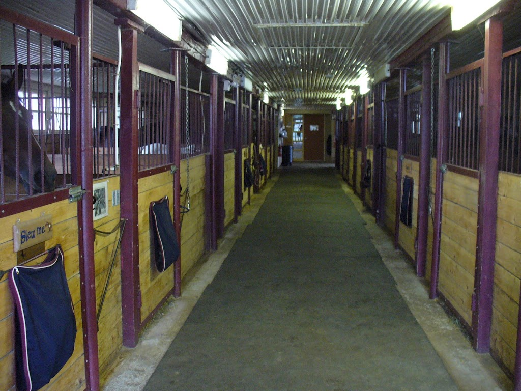 Cheval Défi | 4197 Chemin Notre Dame, Saint-Augustin-de-Desmaures, QC G3A 1W8, Canada | Phone: (418) 878-5522