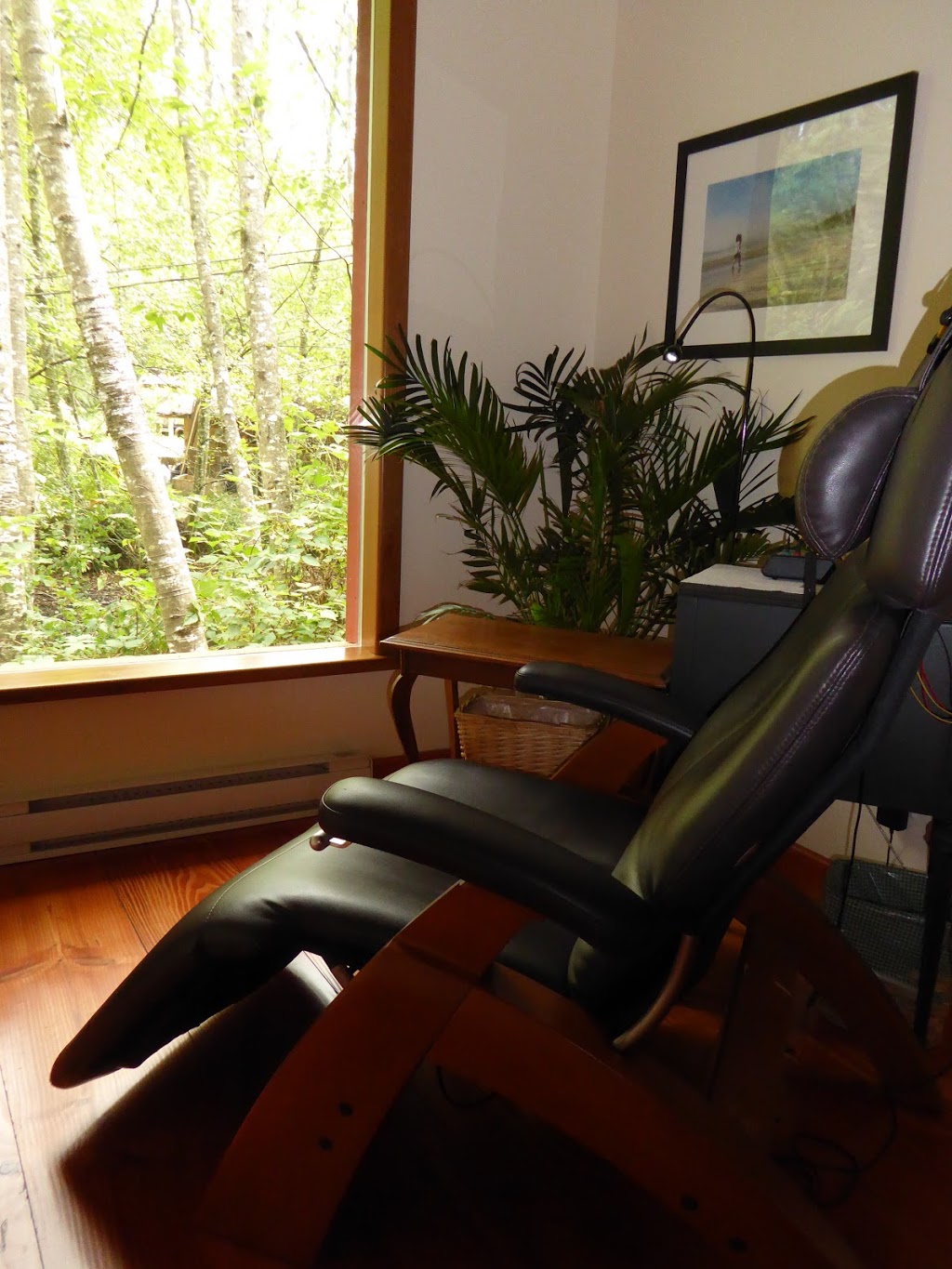 Brainwave Harmonics | 4280 Sunrise Rd, Duncan, BC V9L 6G6, Canada | Phone: (250) 701-0360