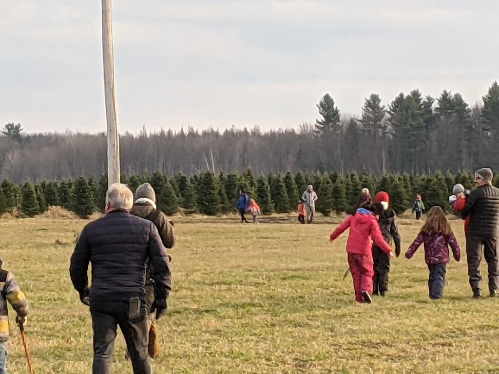 Hadley Christmas Trees / Arbres de Noël | 1600 Chem. Vide Sac, Lachute, QC J8H 2C5, Canada | Phone: (450) 562-9726