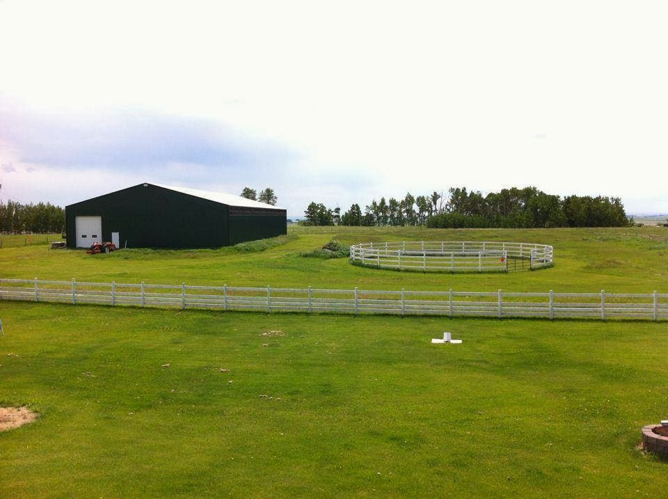 RJ Ranch Ltd | BOX 37 SITE 5 RR1, Strathmore, AB T1P 1J6, Canada | Phone: (403) 540-3331