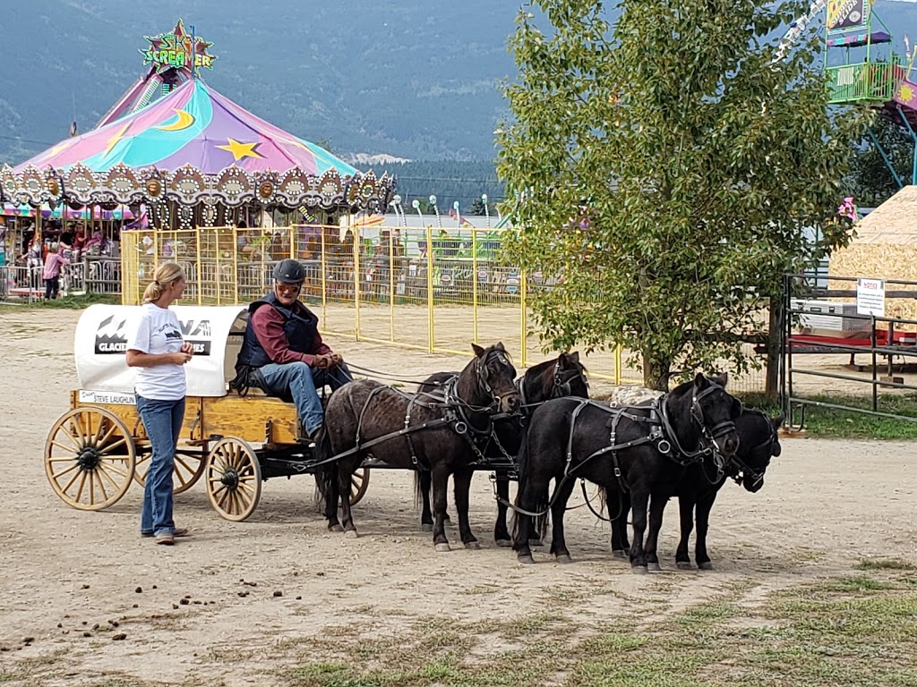 Blackburn Park | 480 5 Ave SW, Salmon Arm, BC V1E 1V4, Canada | Phone: (250) 832-3995