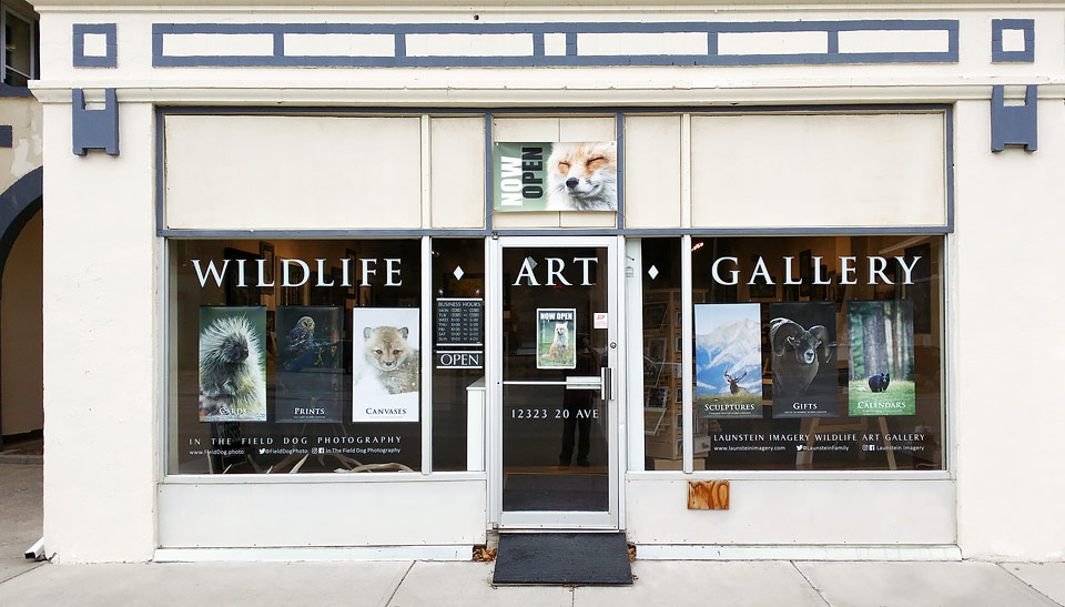 Launstein Imagery Wildlife Art Gallery | 12323 20 Ave, Blairmore, AB T0K 0E0, Canada | Phone: (403) 627-3969