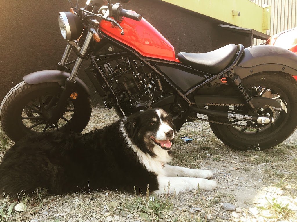 All Season Motorsports Inc | 1510 10 Ave SW, Calgary, AB T3C 0J5, Canada | Phone: (403) 204-1771