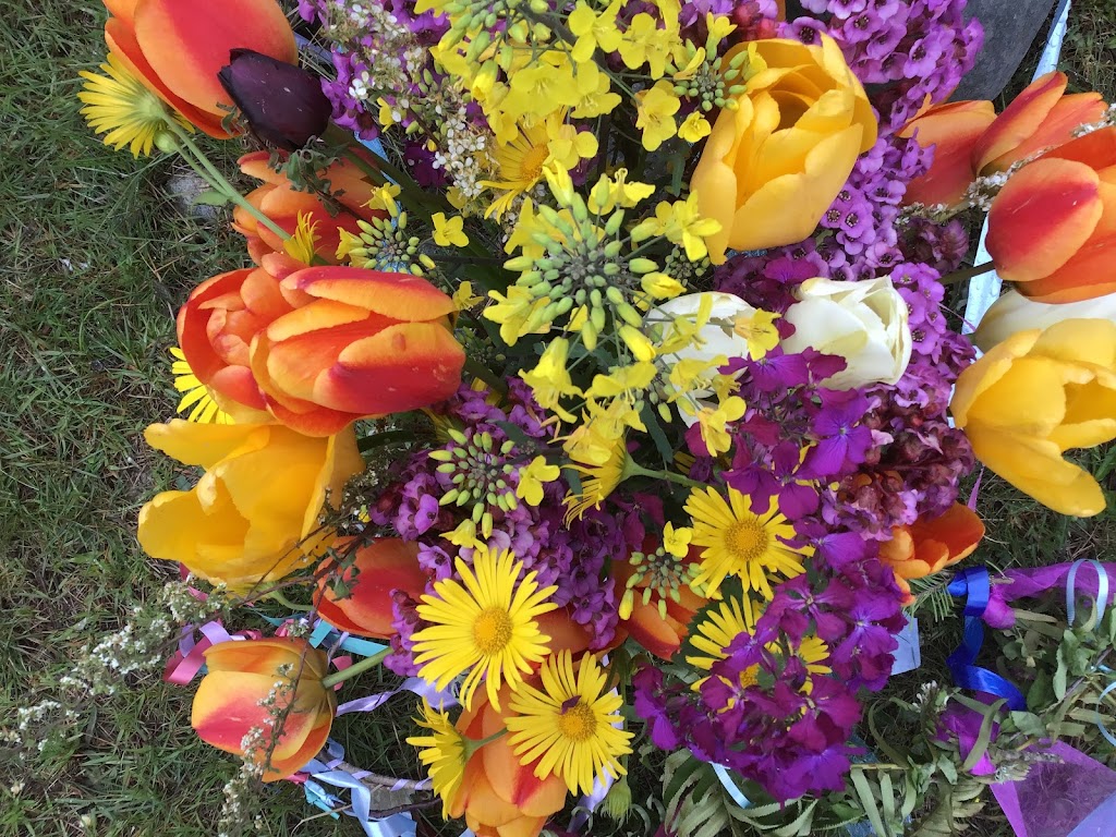 Celebrant Lee Andra | N Central Rd, Denman Island, BC V0R 1T0, Canada | Phone: (250) 335-1802