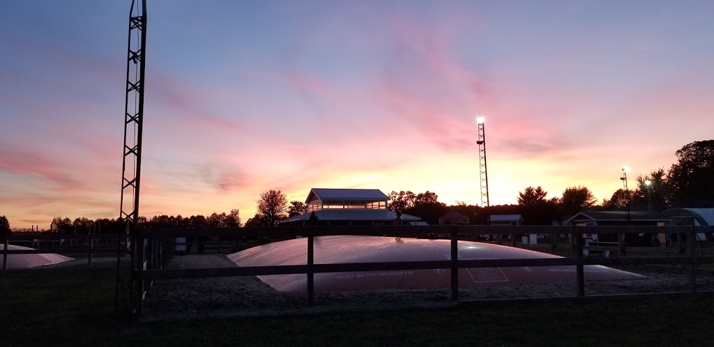 Thamesville Maize | 12768 Longwoods Rd, Thamesville, ON N0P 2K0, Canada | Phone: (519) 692-5451