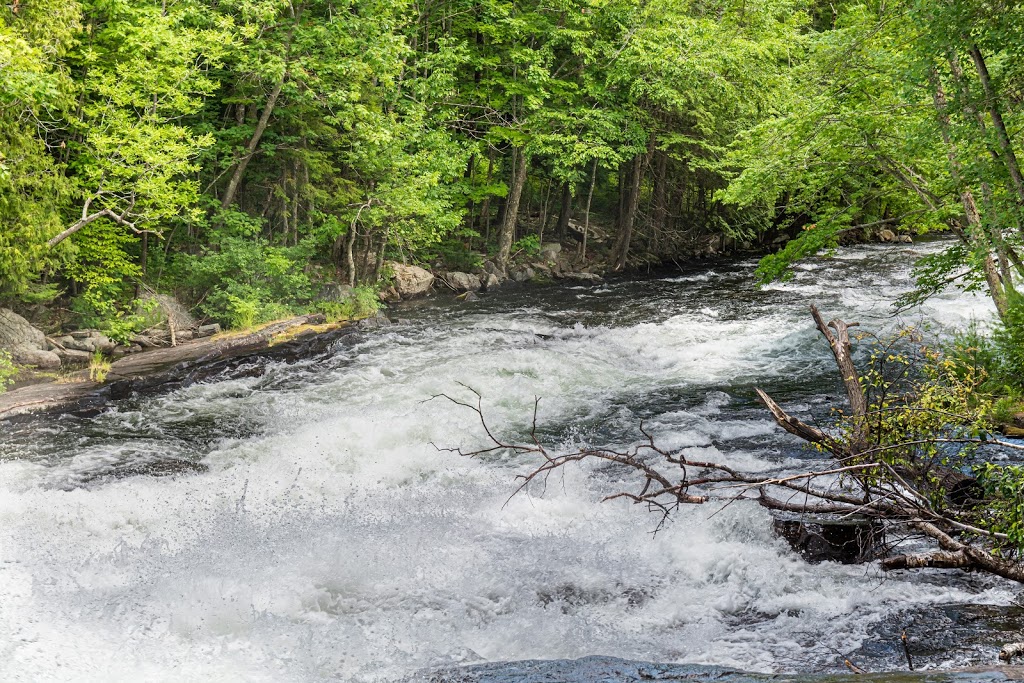 Buttermilk Falls | 16946 ON-35, Algonquin Highlands, ON K0M 1J1, Canada | Phone: (705) 489-1904