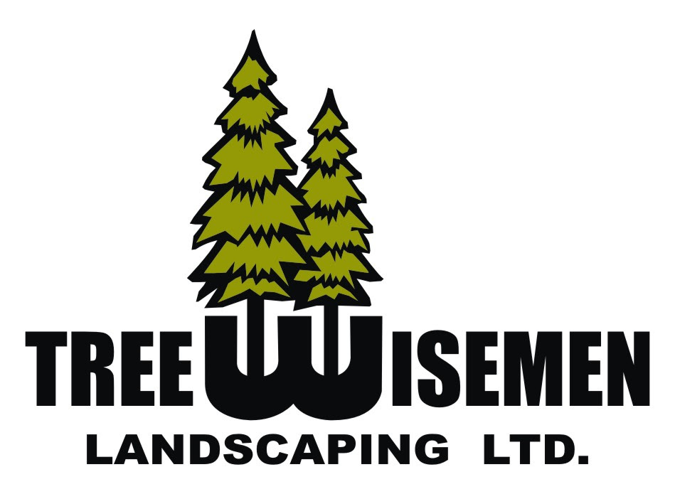 Treewisemen Landscaping Ltd. | 39472 No 5 Rd, Abbotsford, BC V3G 2G3, Canada | Phone: (604) 861-8733