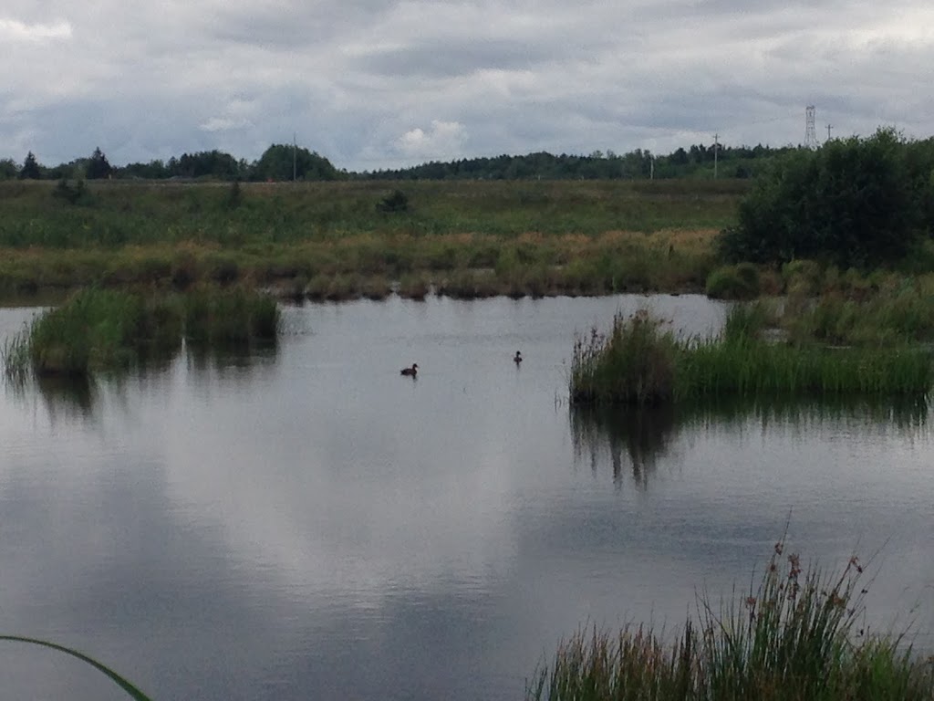Brookfield Wetland & Nature Trail | Brookfield Wetlands Trail, Brookfield, NS B0N 1C0, Canada