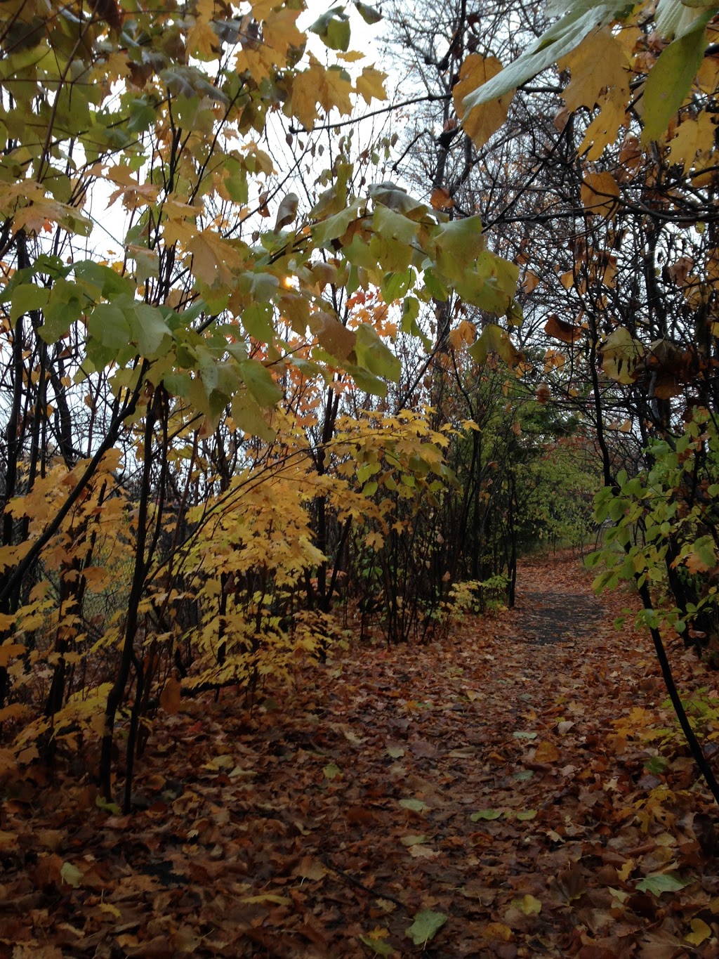 Quarry Ridge Park | 186 Copperwood St, Orléans, ON K1C 7S3, Canada