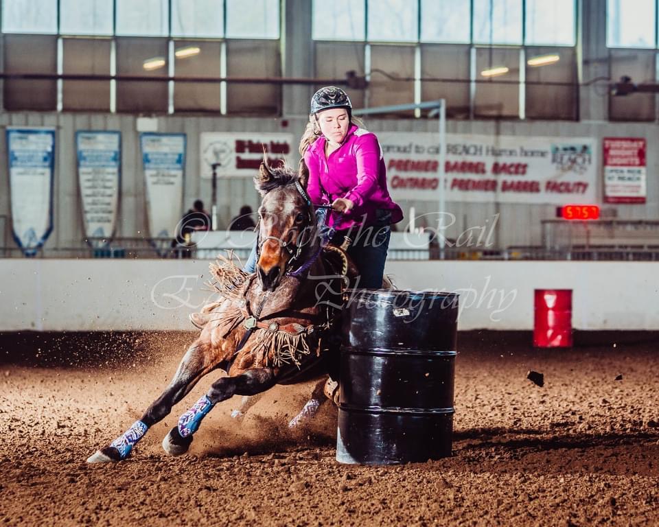 ABC Equestrian | 524239 Curry Rd, Ingersoll, ON N5C 3J8, Canada | Phone: (519) 709-1439