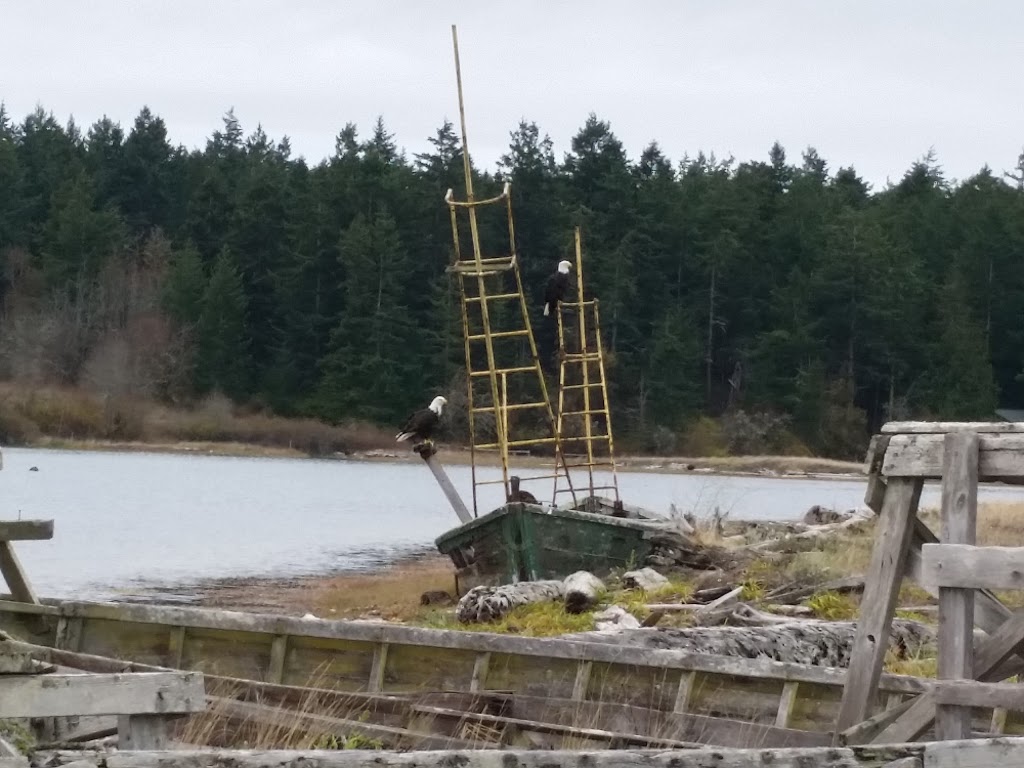 Weeks Wetland Preserve | 35-43 Weeks Point Way, Lopez Island, WA 98261, USA