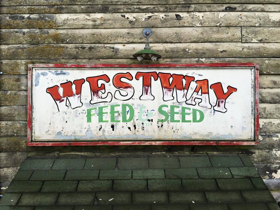 Westway Feed & Hay Sales | 10600 Ladner Trunk Rd, Delta, BC V4K 3N3, Canada | Phone: (604) 590-9355