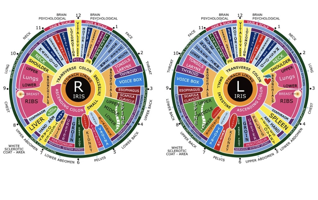 Holistic Health & Iridology Center | 1 Waterfront Rd, Winnipeg, MB R3X 1V1, Canada | Phone: (431) 307-0271