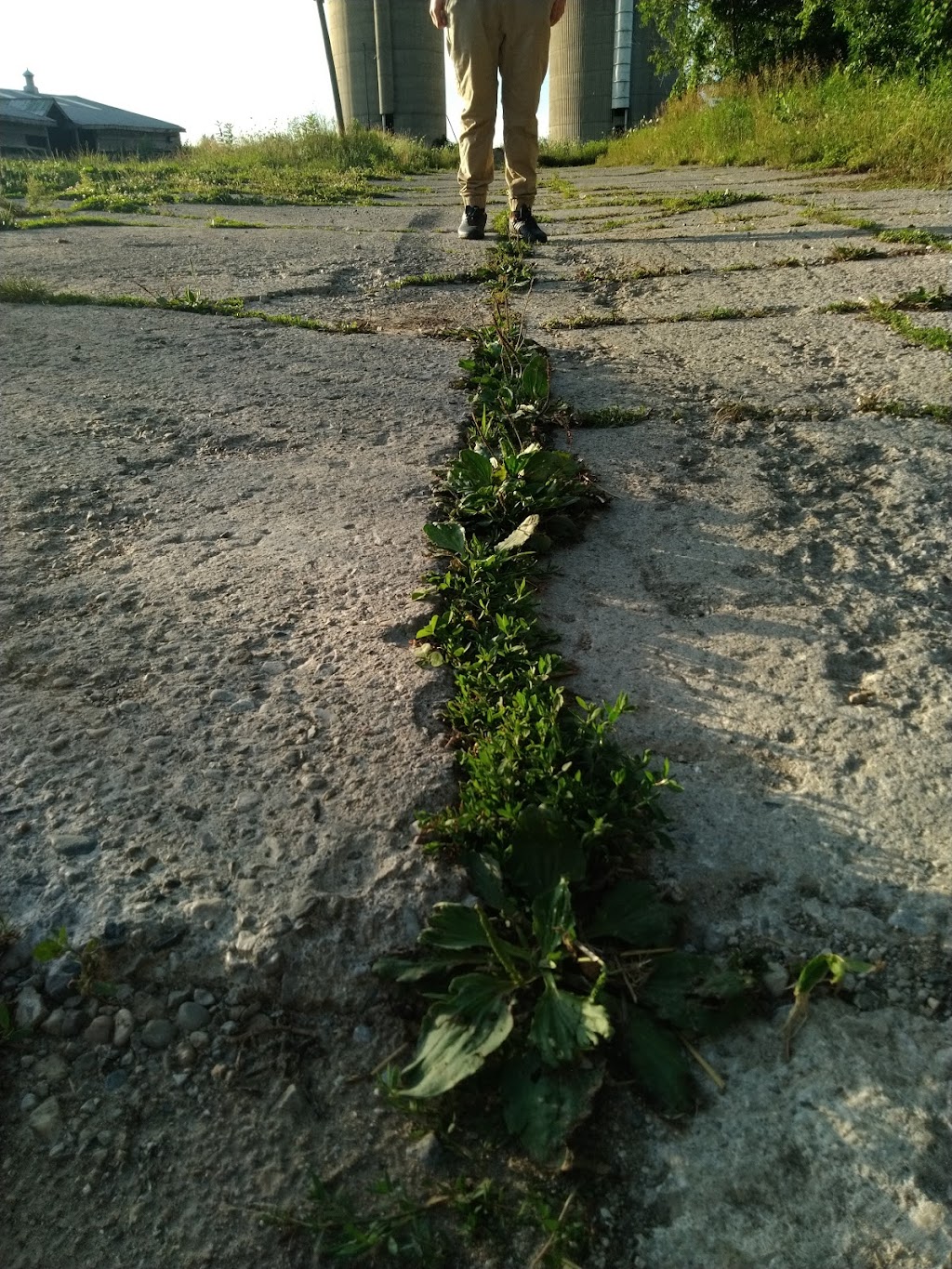 Malcolm Excavating | 385432 Hwy 59 PO Box 179, Burgessville, ON N0J 1C0, Canada | Phone: (519) 424-5000