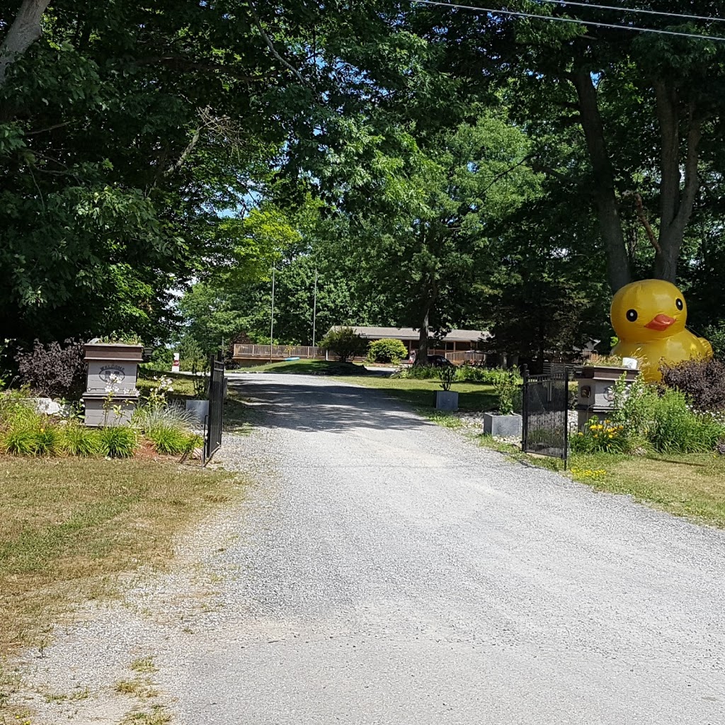 1000 Islands Camping Resort | 382 Thousand Islands Pkwy, Lansdowne, ON K0E 1L0, Canada | Phone: (613) 659-3058