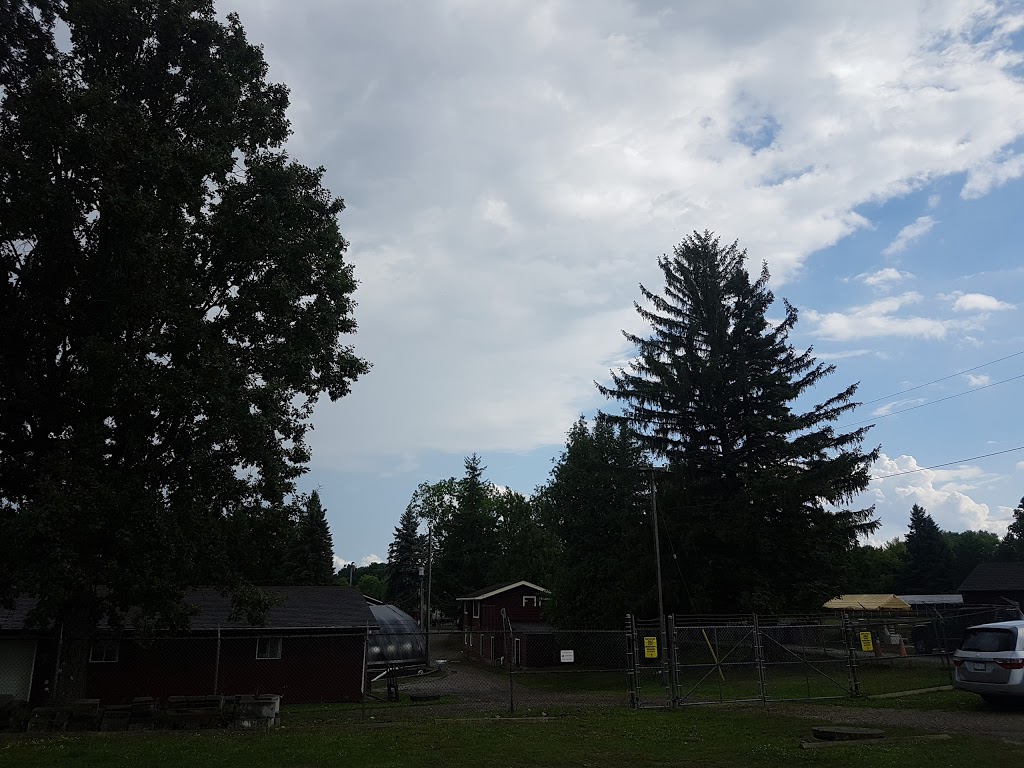 Lyndon Fishing Pond | 1745 Huron Rd, New Hamburg, ON N3A 3E4, Canada | Phone: (519) 696-3474