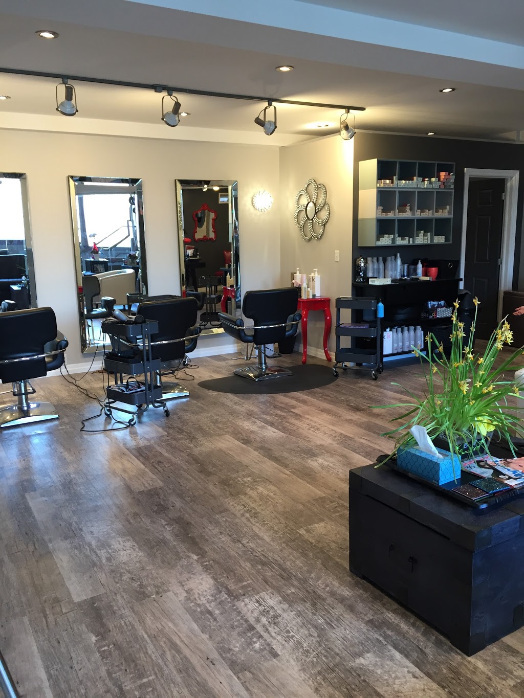 Hair Dresser On Fire | 61 Grand River St N, Paris, ON N3L 2M3, Canada | Phone: (519) 302-2662
