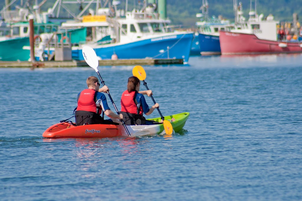 Dockside Kayak Rentals | 34 Water St, Digby, NS B0V 1A0, Canada | Phone: (902) 245-4950