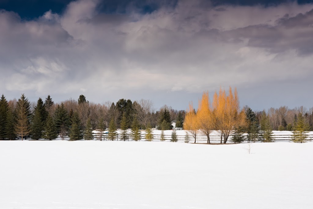 Earlyrain Studio | 1224 Wanyandi Rd NW, Edmonton, AB T6M 2L7, Canada | Phone: (780) 499-5623