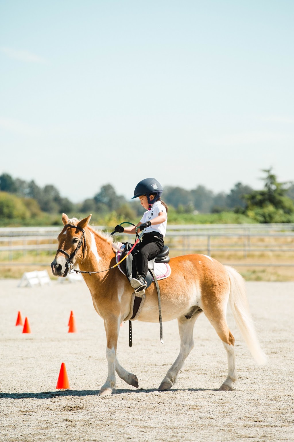 Pacific Banner Riding Club | 12400 No 3 Rd, Richmond, BC V7A 1X5, Canada | Phone: (604) 763-8869