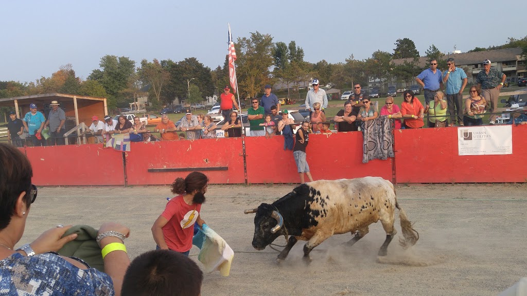 Erin Agricultural Society | 184 Main St, Erin, ON N0B 1T0, Canada | Phone: (519) 833-2808