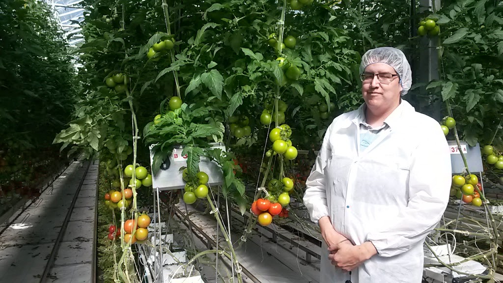 Mucci Farms Ltd | 1876 Seacliff Dr, Kingsville, ON N9Y 2N1, Canada | Phone: (519) 326-8881
