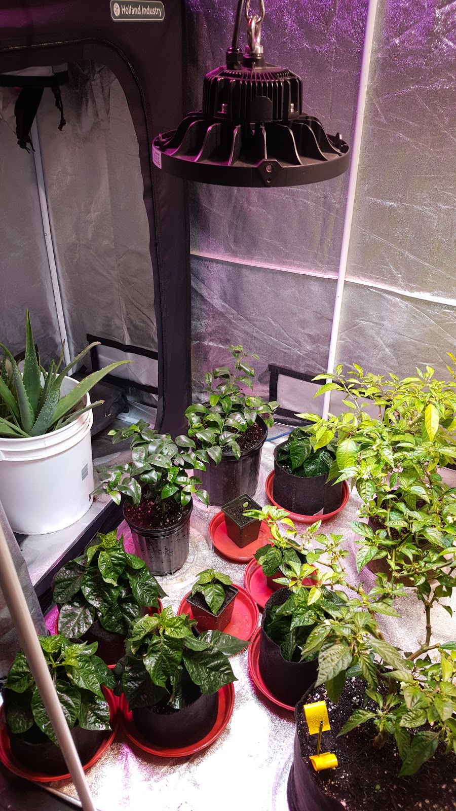 Holland Industry - Hydroponics Garden Supplies North York | 573 Fenmar Dr, North York, ON M9L 2R6, Canada | Phone: (416) 736-1732