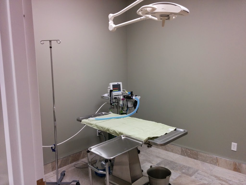 Hyde Park Veterinary Hospital | 1422 Fanshawe Park Rd W, London, ON N6G 0A4, Canada | Phone: (519) 518-2275