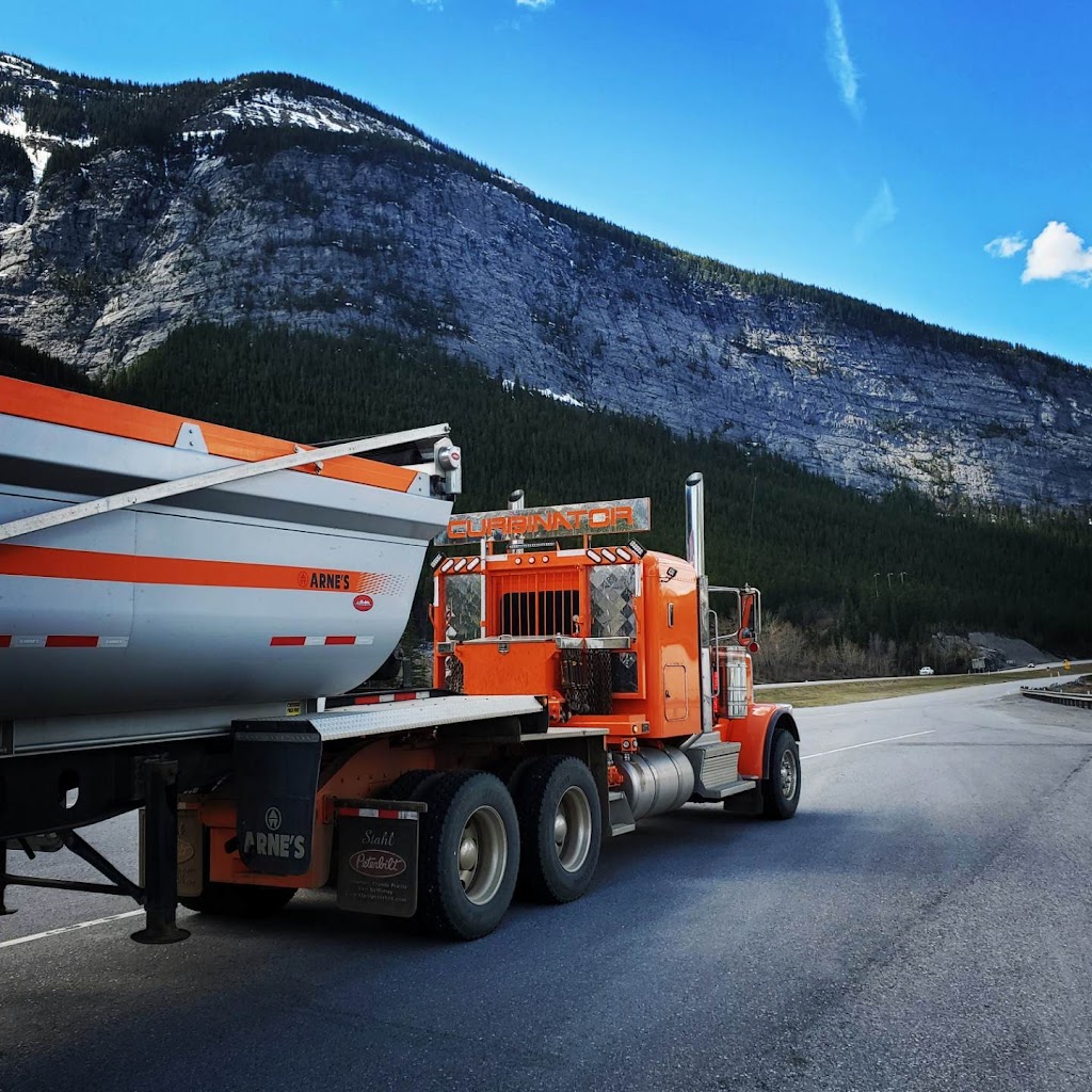 The Curbinator | 12030 28 St NE, Edmonton, AB T6S 1H4, Canada | Phone: (780) 499-7097