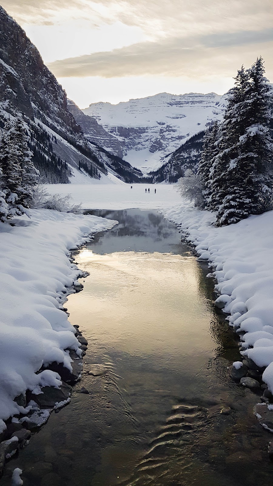 Images of the North | Fairmont Chateau, 111 Lake Louise Dr, Lake Louise, AB T0L 1E0, Canada | Phone: (403) 522-3699