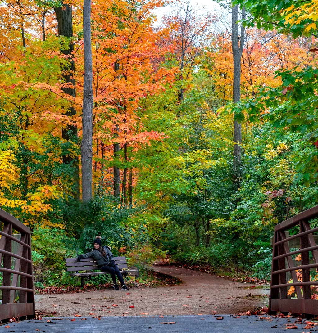 Creek Path Woods | 233 Duskywing Way Unit 31, Oakville, ON L6L 0C5, Canada