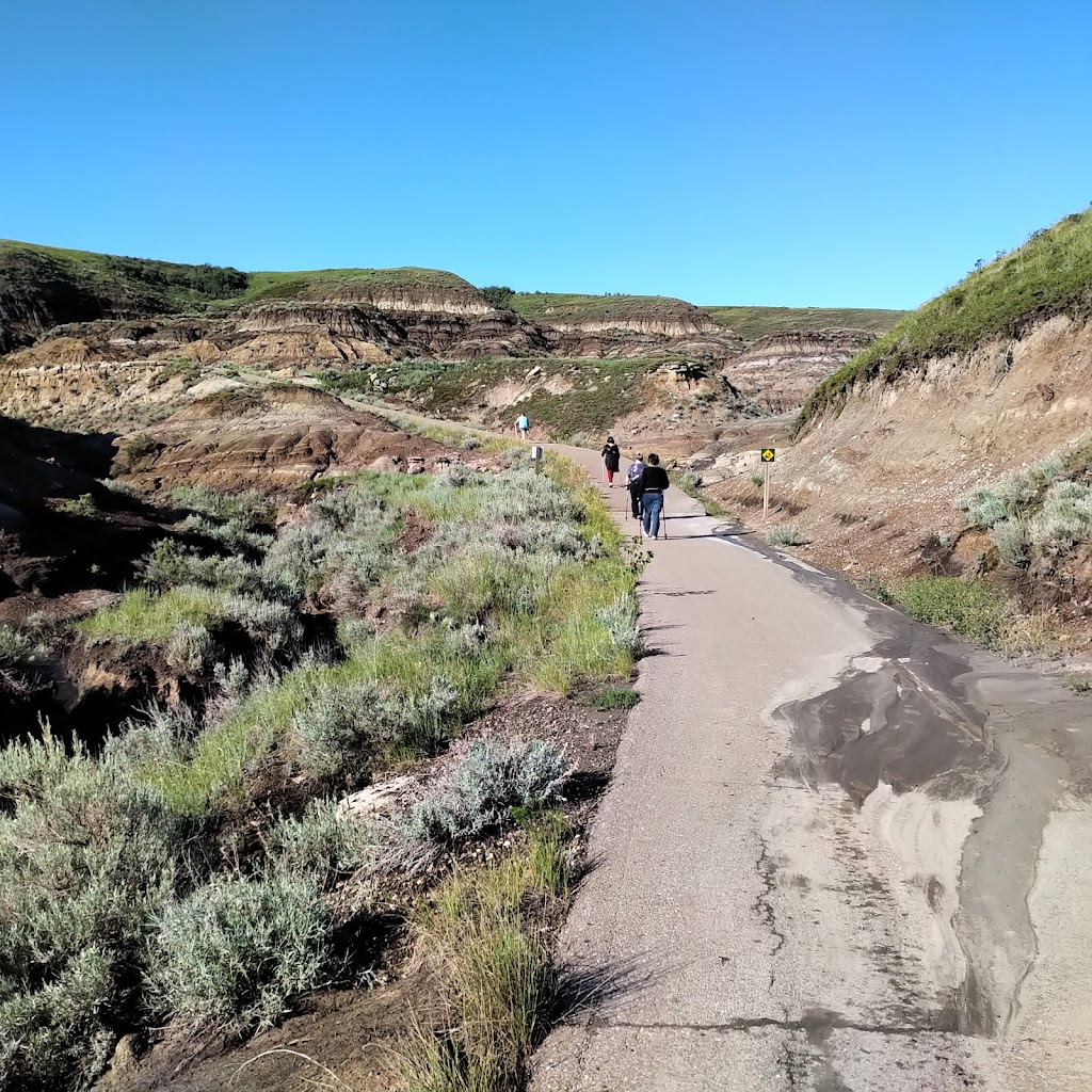 Drumheller Nordic Walking and Wellness | 325 3 Ave W, Drumheller, AB T0J 0Y0, Canada | Phone: (403) 823-0156