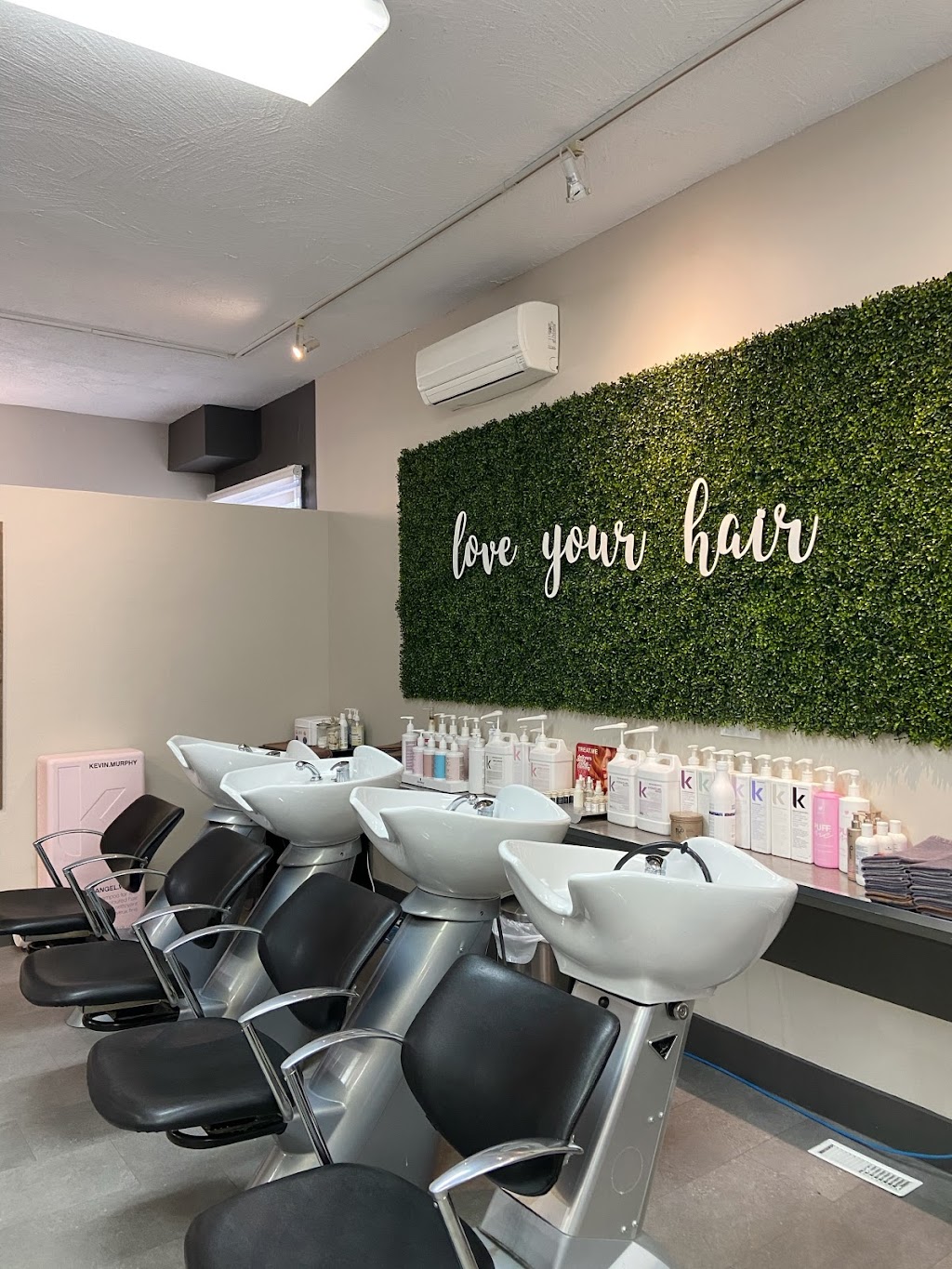 Élan Hair Studio | 156 Sherbrook St, Winnipeg, MB R3C 2B4, Canada | Phone: (204) 775-3526
