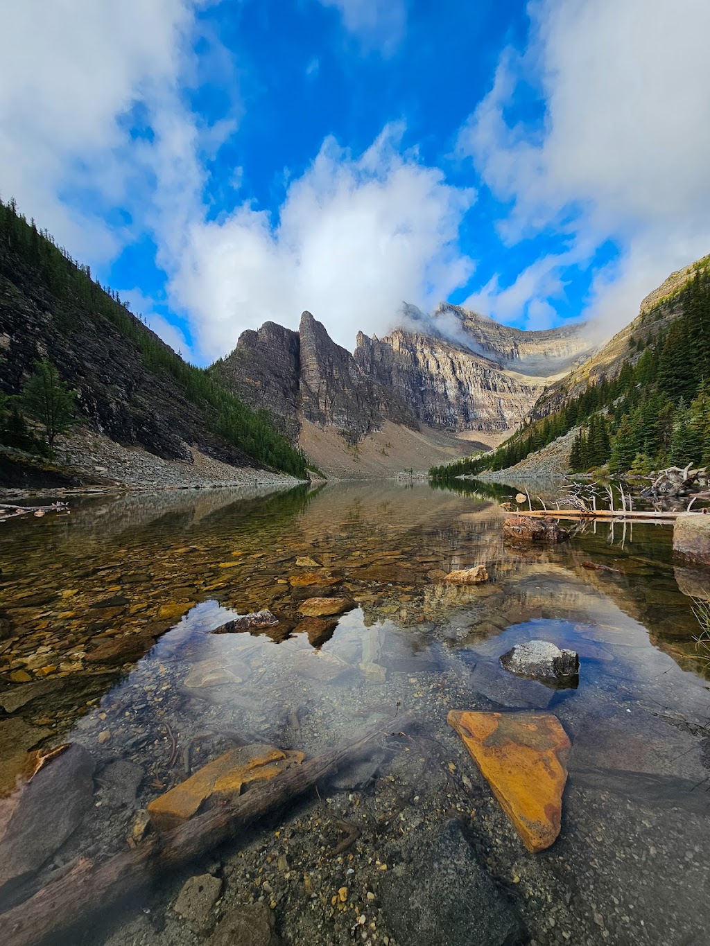 Brewsters Lake Louise Stables | 111 Lake Louise Dr, Lake Louise, AB T0L 1E0, Canada | Phone: (403) 762-5454