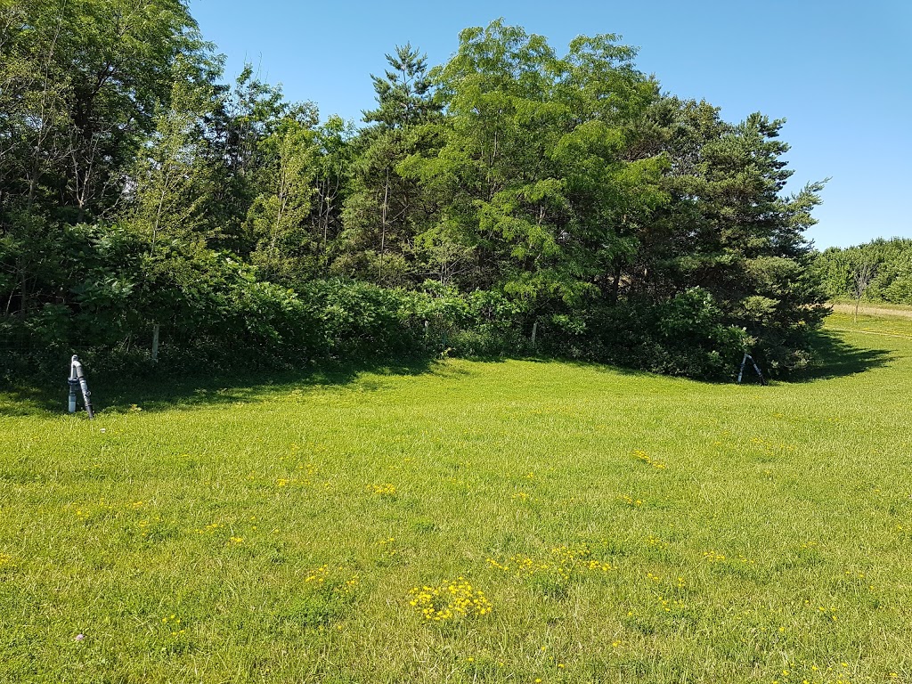 Blackwell Dog Park | 1468 Blackwell Rd, Sarnia, ON N7S 5M5, Canada | Phone: (519) 332-0330 ext. 3351