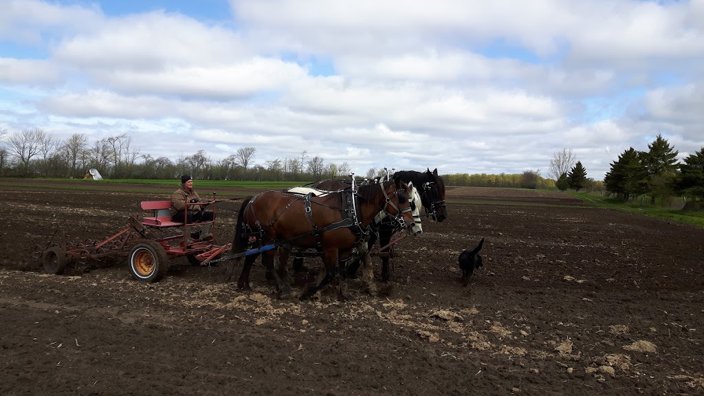 Lunar Rhythm Gardens, Organic CSA Farm | 253 Gray Rd, Janetville, ON L0B 1K0, Canada | Phone: (905) 986-9612