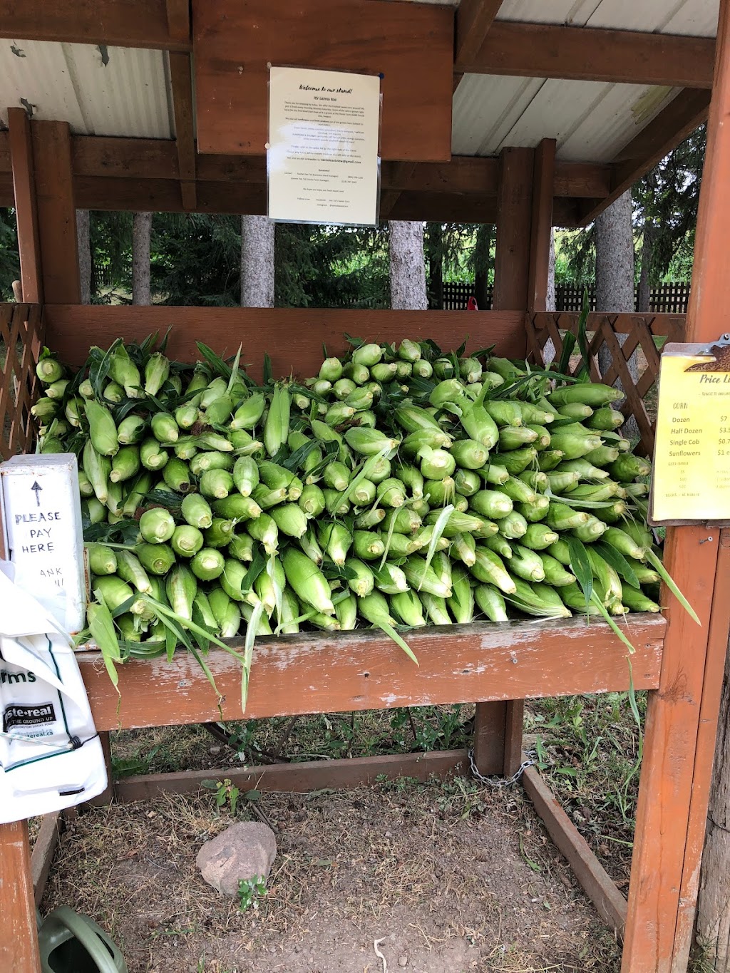 Van Tol’s Sweet Corn Guelph | 7857 Eastview Rd, Guelph, ON N1H 6J1, Canada | Phone: (905) 536-1283