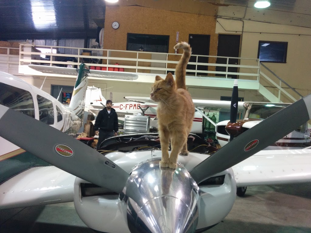 Elms Aviation | 3022 Line 40, Stratford, ON N5A 6S2, Canada | Phone: (519) 275-2931