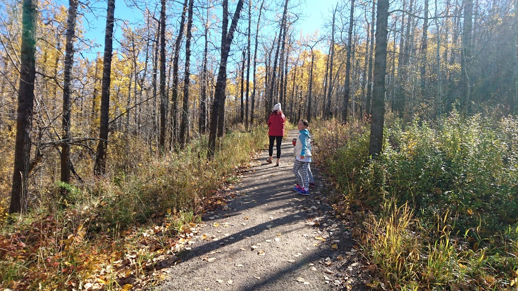 Glenbow Ranch Provincial Park | 255001 Glenbow Rd, Cochrane, AB T4C 0B7, Canada | Phone: (403) 851-9053