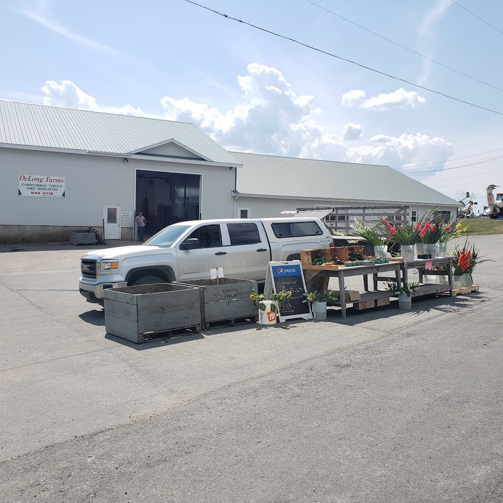 DeLong Farms | 312 Barss Corner Rd, New Germany, NS B0R 1E0, Canada | Phone: (800) 565-1230
