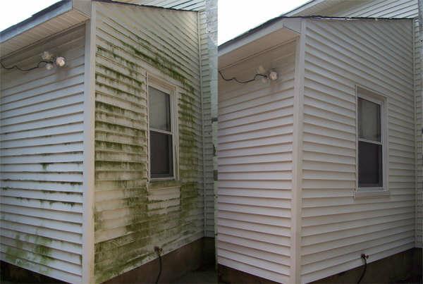 Annapolis Property Maintenance | 1258 Belcher St, Port Williams, NS B0P 1T0, Canada | Phone: (902) 670-1183