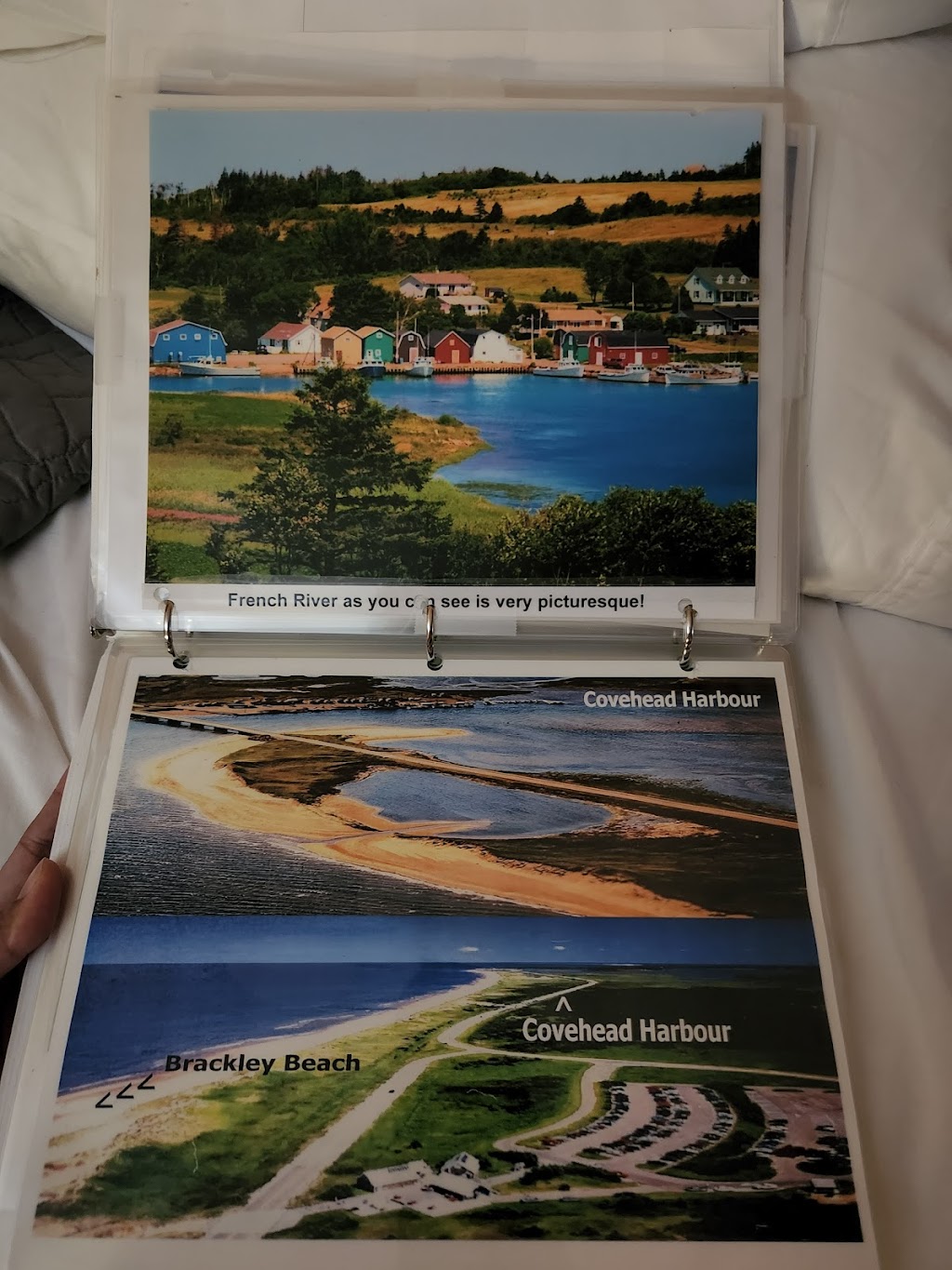 Boardwalk Motel | 9027 Cavendish Rd, Cavendish, PE C0A 1N0, Canada | Phone: (902) 629-5050
