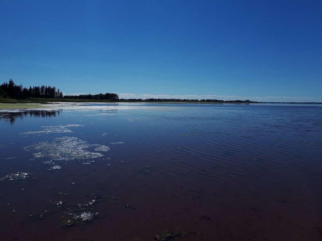 Schurmans Shore Waterfront Cottages | 179 Steel Rd, Summerside, PE C1N 4J8, Canada | Phone: (800) 361-5669