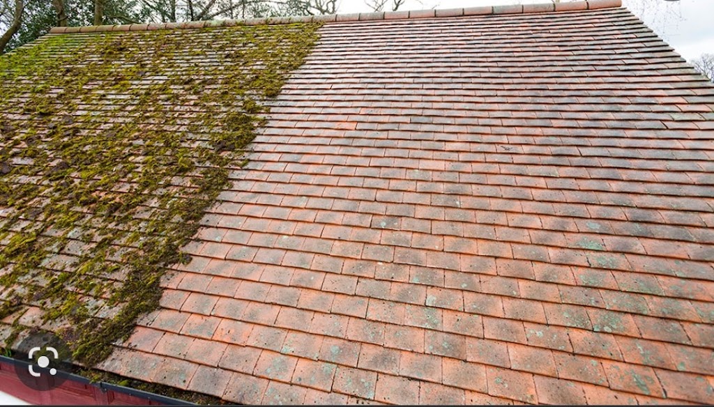 All Purpose Cleaning | 936 Page Ave, Victoria, BC V9B 2M6, Canada | Phone: (250) 885-8052