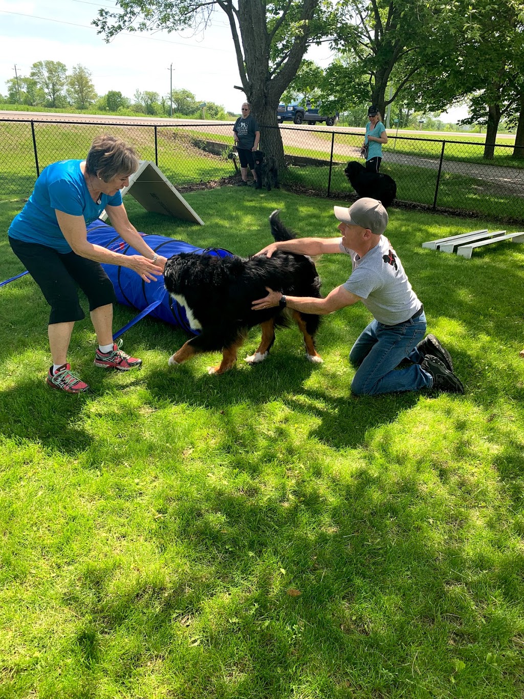 Allan Maniate Dog Training & Equipment Sales | 1696 Tara Rd, Ennismore, ON K0L 1T0, Canada | Phone: (705) 768-3647
