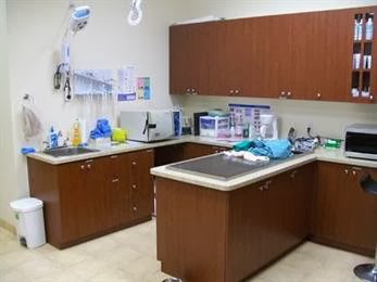 Derry Heights Animal Hospital | 6941 Derry Rd W b05, Milton, ON L9T 7H5, Canada | Phone: (905) 878-1060