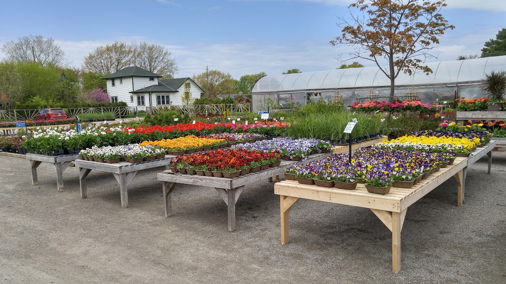 Niagara Nurseries | 1643 Niagara Regional Rd 81, St. Catharines, ON L2R 6P7, Canada | Phone: (905) 682-4783