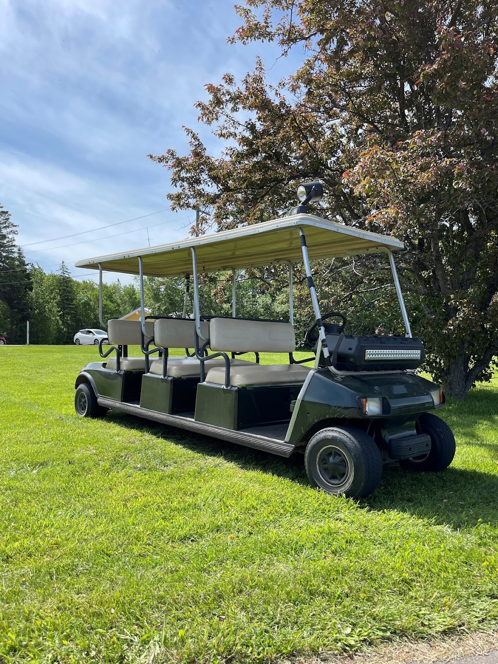 KM Custom Cart Rentals | 9095 Cavendish Rd, New Glasgow, PE C0A 1N0, Canada | Phone: (902) 439-7404