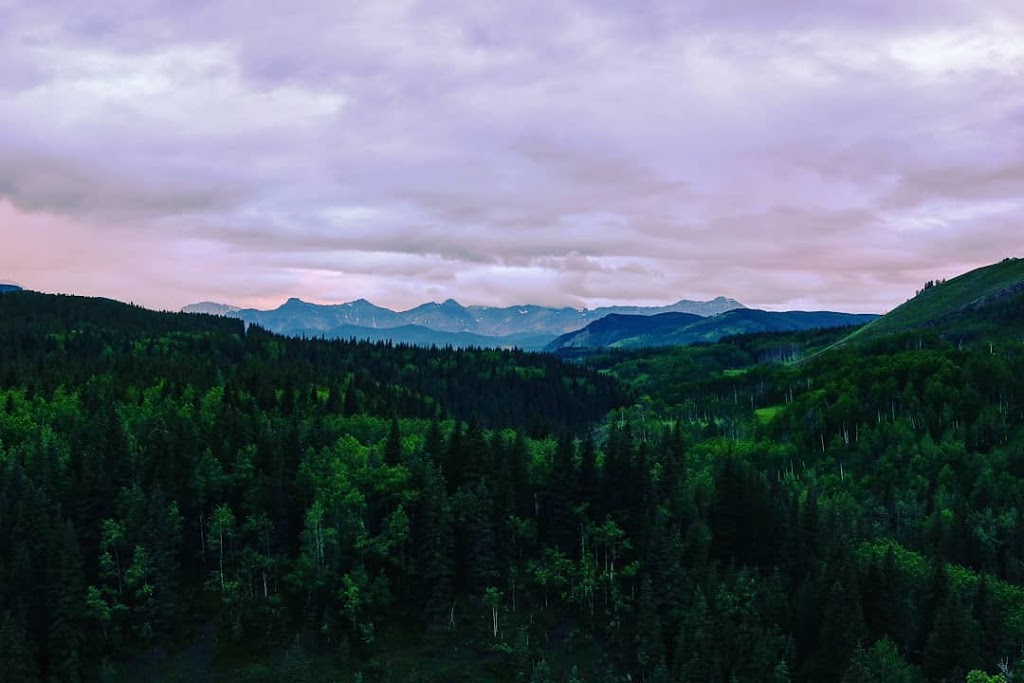 Sheep Trail | Kananaskis, AB T0L 2A0, Canada
