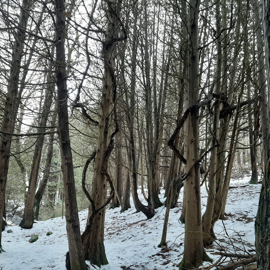 Proctor Park Conservation Area | 96 Young St, Brighton, ON K0K 1H0, Canada | Phone: (613) 394-4829